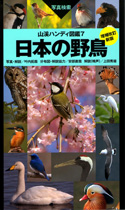 図鑑「日本の野鳥」